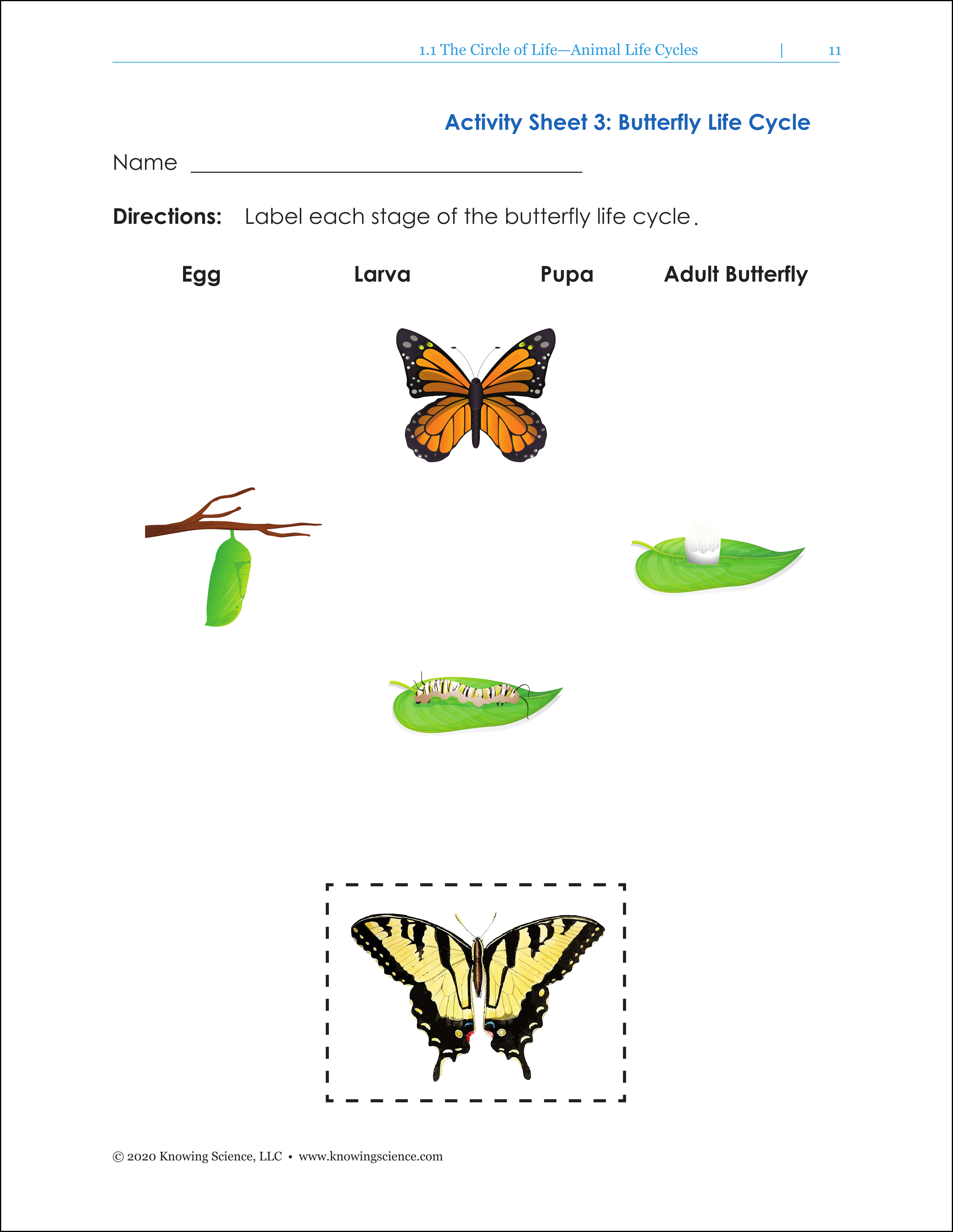 knowingscience book